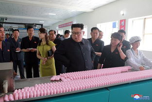 朝中邊境的紡織圖景 金正恩視察背后的經濟信號與區域觀察